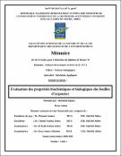 Vignette d'image